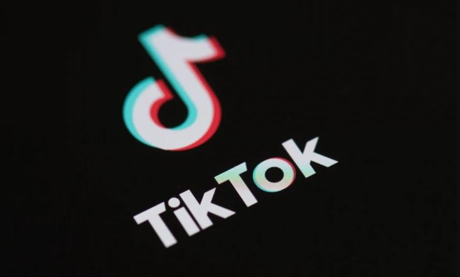 tik-tok-video-downloader