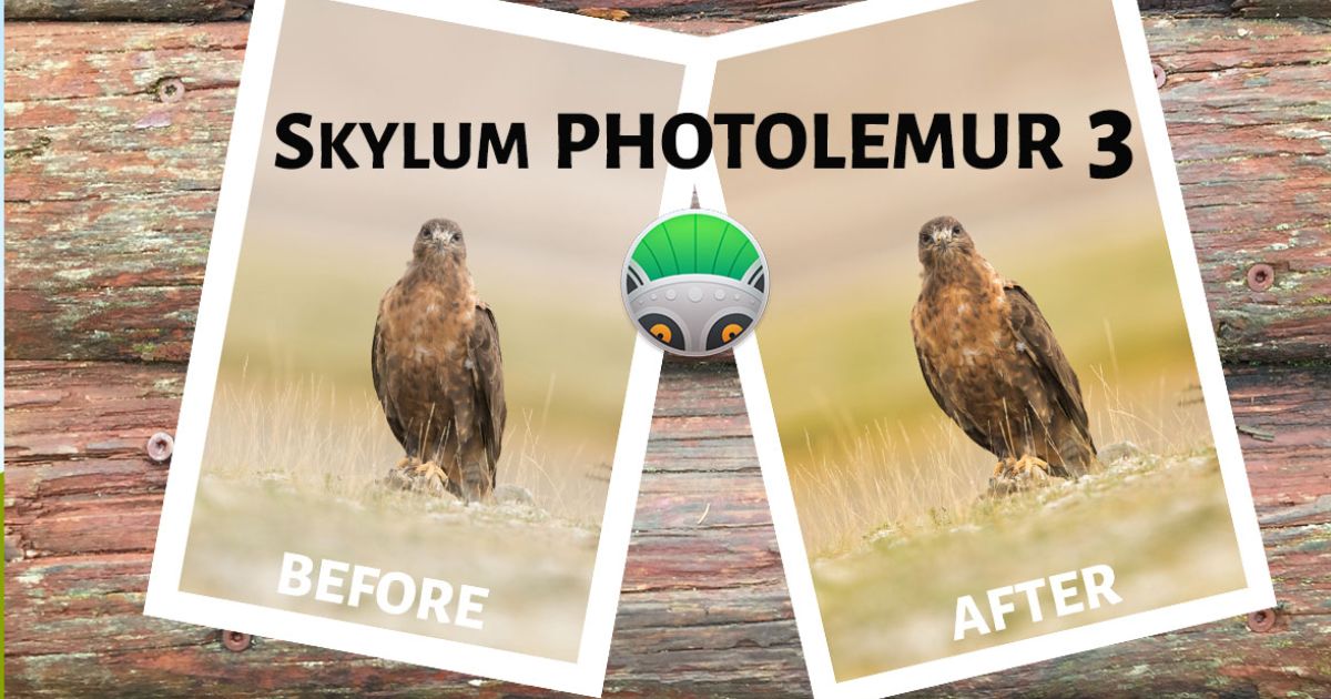 Skylum Photolemur 3 Crack