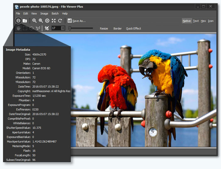 File Viewer Plus Keygen