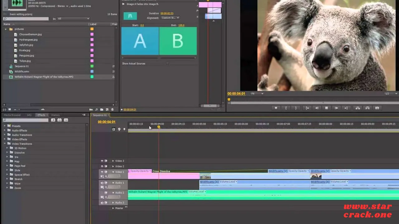 Adobe Premiere Pro CS6 Keygen 