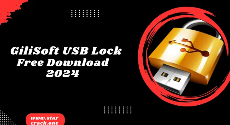 GiliSoft USB Lock Torrent