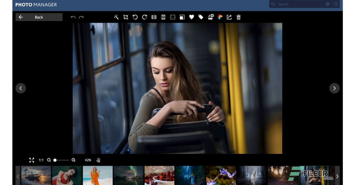 Movavi Photo Manager Torrent